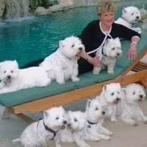 Meet your Posher, Susan